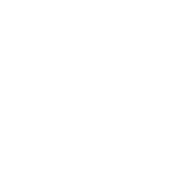 Turquoise Logo